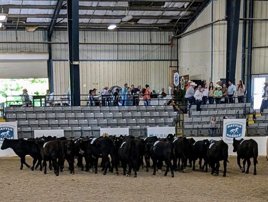 Kentucky Horse Park by null