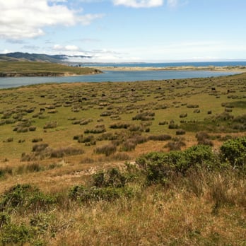 Estero Trail - Almost at Drake's Head - lots of grazing cattle. (Sunday 2013-05-26) - Hiking Near Me - Point Reyes Station, California Estero Trail - Almost at Drake's Head - lots of grazing cattle. (Sunday 2013-05-26) - Hiking Near Me - Point Reyes Station, California