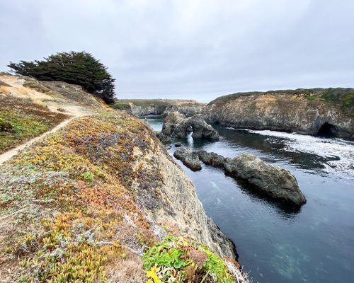 Mendocino Headlands State Park by null