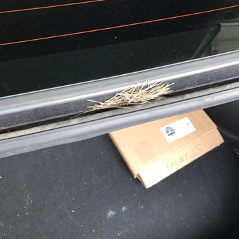 Pros Auto Detailing - They missed cleaning the tree fallings ... - Auto Detailing Near Me - Downey, California