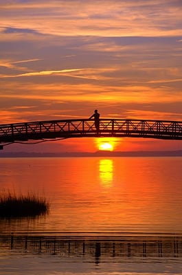 Fenwick Crab House by null