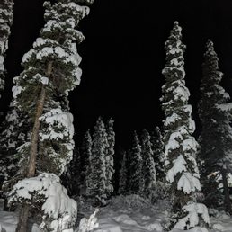 Open in the winter!