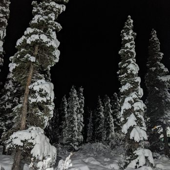 Aurora Denali Lodge - Open in the winter! - Hotels Near Me - Healy, Alaska