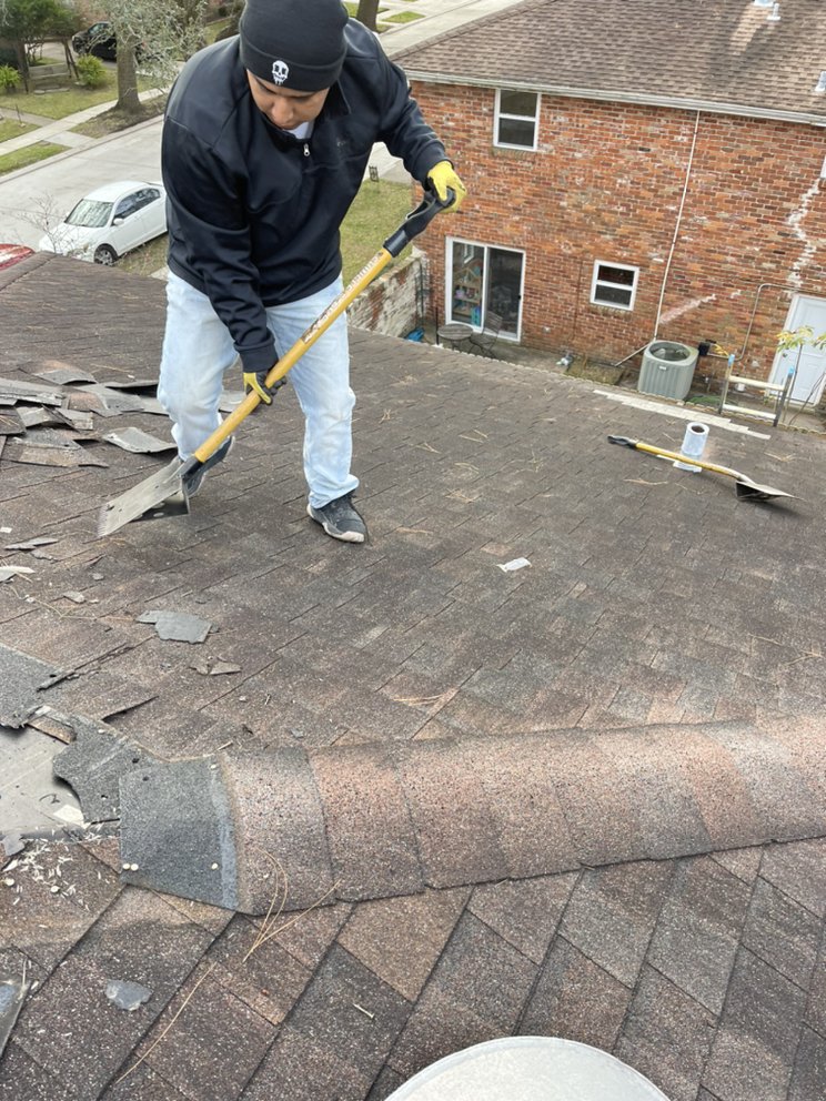 Slide of Tigers Construction