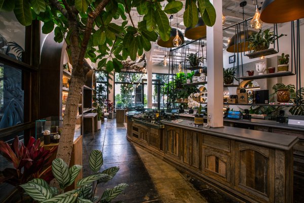 The WOODS WeHo by null