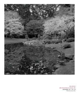 Nitobe Memorial Garden by null