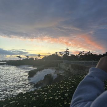 West Cliff Drive - Beaches Near Me - Santa Cruz, California West Cliff Drive - Beaches Near Me - Santa Cruz, California
