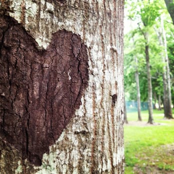 Eastham-Thomason Park - Parks Near Me - Huntsville, Texas Eastham-Thomason Park - Parks Near Me - Huntsville, Texas