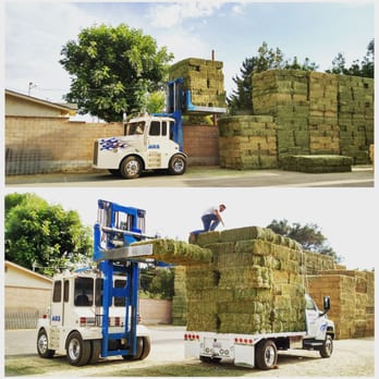 American Hay & Mercantile - American Hay. Great delivery service - Pet Stores Near Me - Oak View, California American Hay & Mercantile - American Hay. Great delivery service - Pet Stores Near Me - Oak View, California