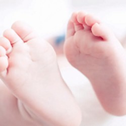 New Family Fertility Law, APC