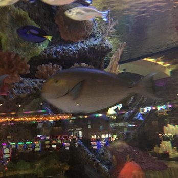 Wind Creek - Hotels Near Me - Atmore, Alabama