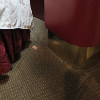 Paradise Stream - Rose petals from past people - Ski Resorts Near Me - Cresco, Pennsylvania Paradise Stream - Rose petals from past people - Ski Resorts Near Me - Cresco, Pennsylvania