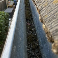 Illuminate and Clean - Dirty gutters