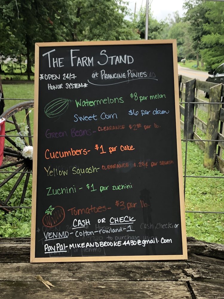 PRANCING PONIES Updated September 2024 14 Photos 17873 Joliet Rd