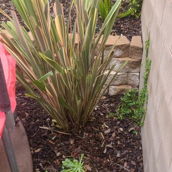 Yard Craft Landscaping - Lawn Services Near Me Yard Craft Landscaping - Lawn Services Near Me