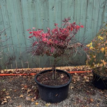 Garden Supply Company - Nurseries & Gardening Near Me - Cary, North Carolina