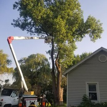 Bay Tree Removal Service - a man on a cherry picker - Tree Services Near Me - Hayward, California Bay Tree Removal Service - a man on a cherry picker - Tree Services Near Me - Hayward, California
