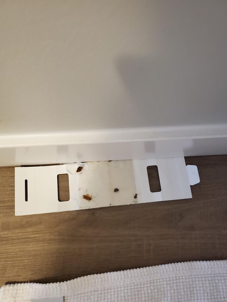 AYRE & OXFORD Updated August 2024 10 Photos & 22 Reviews 13455