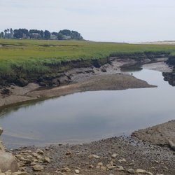 Madelyn Marx Preserve
