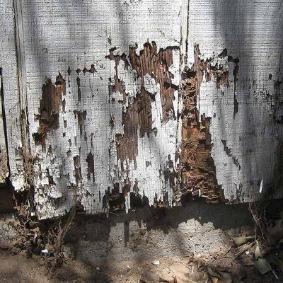 SELECT EXTERMINATING - Updated March 2026 - 59 Photos & 33 Reviews ...