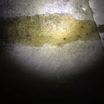Jiffy Lube - Oil leak at homes driveway. - Oil Change Stations Near Me - San Antonio, Texas Jiffy Lube - Oil leak at homes driveway. - Oil Change Stations Near Me - San Antonio, Texas