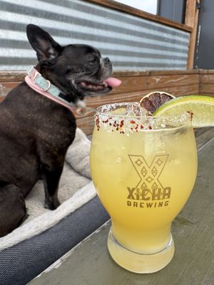 Xicha Brewing - North Salem - Taproom by null