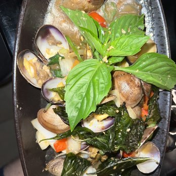 Siam Thai - Manila Clams - Thai Near Me - Flushing, New York Siam Thai - Manila Clams - Thai Near Me - Flushing, New York