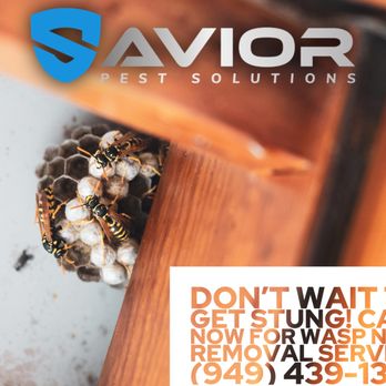 Savior Pest Solutions - Pest Control Near Me - Perris, California Savior Pest Solutions - Pest Control Near Me - Perris, California