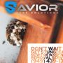 Savior Pest Solutions