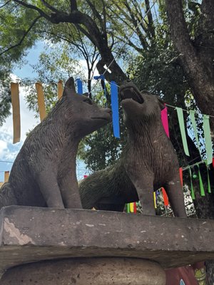 Coyoacán by null