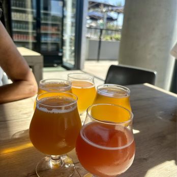 Protector Brewery Hide Site - Delicious variety of Protector beers - Breweries Near Me - San Diego, California