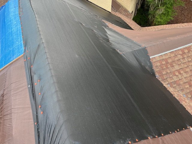 Slide of Blue Tarp Express