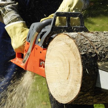 Fuqua Tree Service - Tree Services Near Me