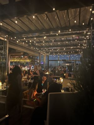 Harriet's Rooftop by null