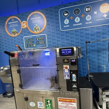 Lavakan - Pet Groomers Near Me - Miami, Florida