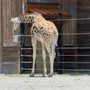 Photo of Hattiesburg Zoo