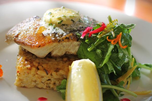 The Beach Shack La Cucina + Bar by null