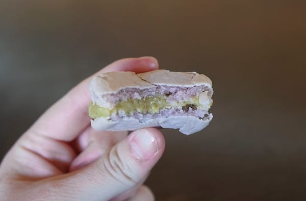 Boston Bonbon by null