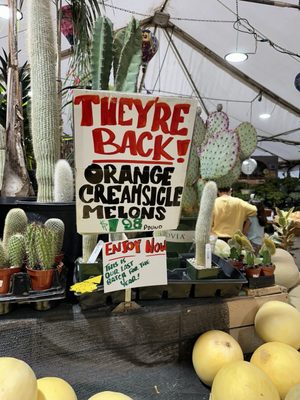 Newcastle Fruit & Produce Co. by null