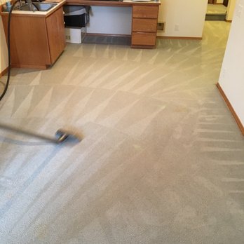 Accel Carpet Cleaning - Carpet Cleaning Near Me - Seattle, Washington Accel Carpet Cleaning - Carpet Cleaning Near Me - Seattle, Washington