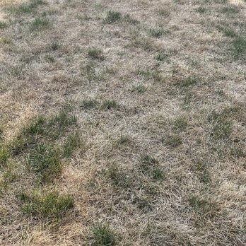 Naturescape - Lawn - Tree Services Near Me - Schaumburg, Illinois Naturescape - Lawn - Tree Services Near Me - Schaumburg, Illinois
