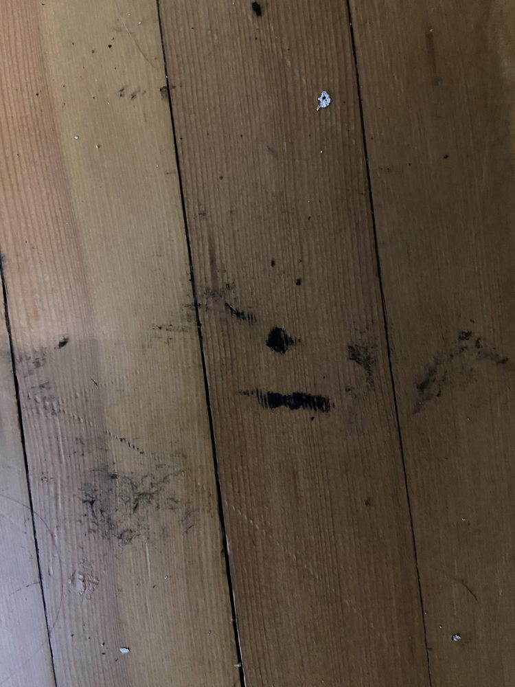 Slide of Len The Plumber