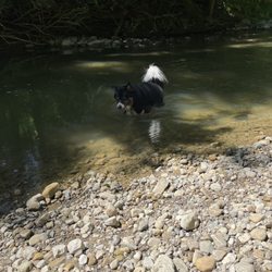 Tawawa Park - Dog approved!