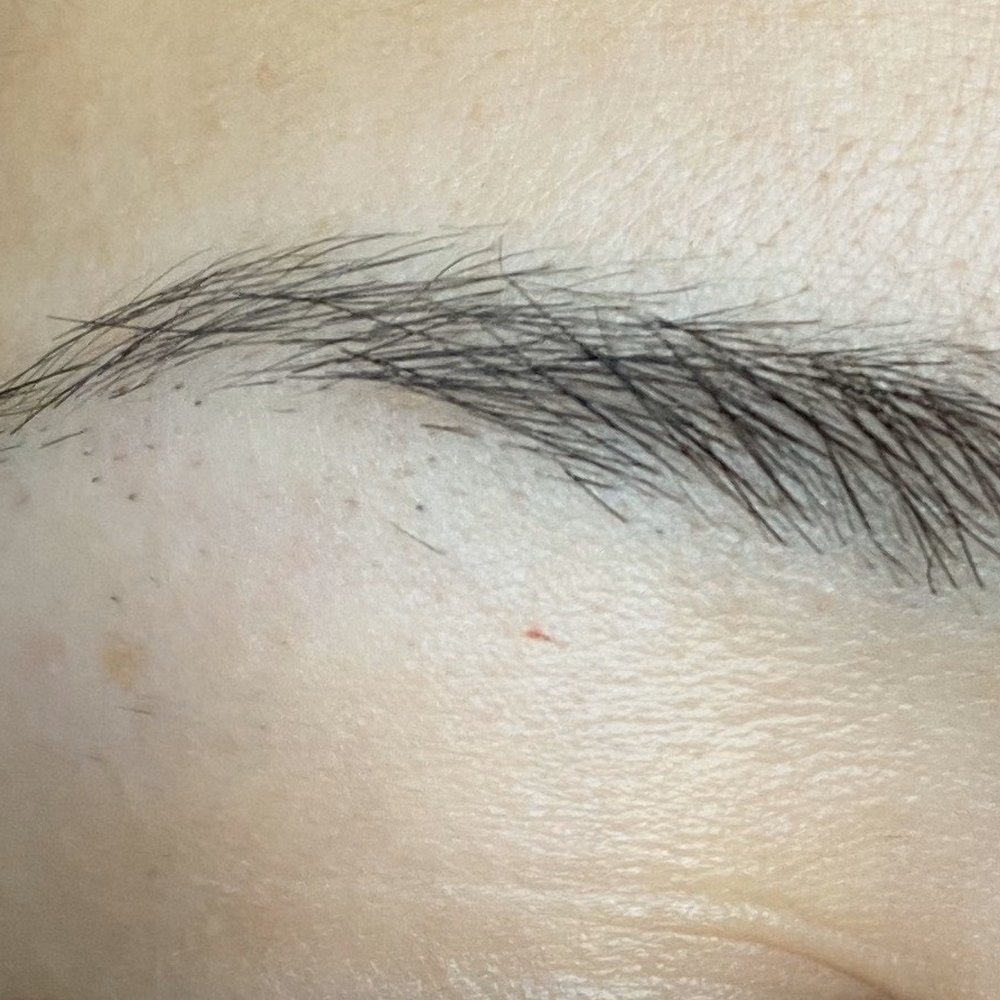 Finished eyebrows after wax...