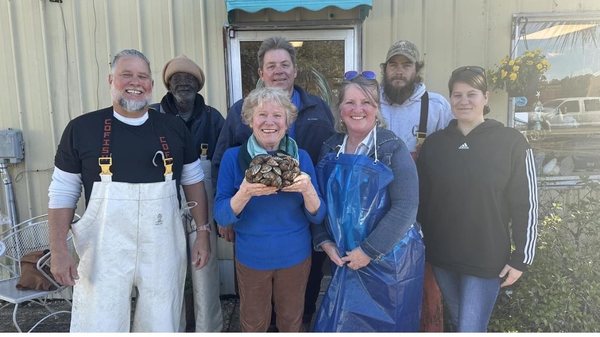 Livingston's Bulls Bay Seafood by null