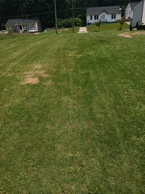 BT Lawn Care Services