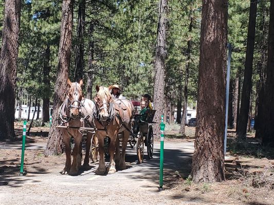 Lake Tahoe Historical Museum by null