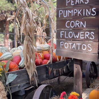 Riley's Farm - Fruits & Veggies Near Me - Oak Glen, California Riley's Farm - Fruits & Veggies Near Me - Oak Glen, California