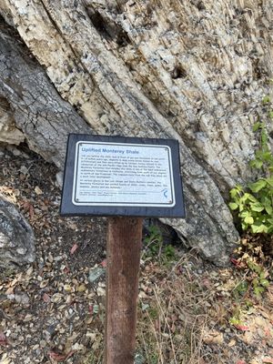 Bob Jones Trail Head by null