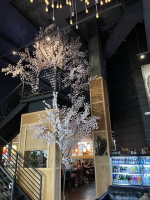 Yuka Sushi Bar by null